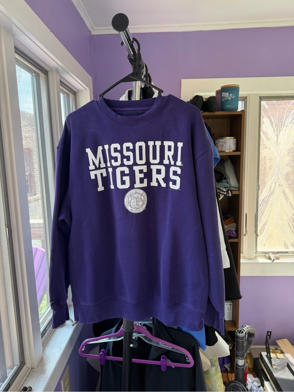 Jansport Purple Graphic Crewneck Sweatshirt